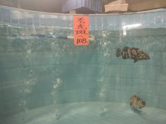 -大树头·花园餐厅(市桥店)