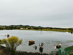 -塞罕坝国家级自然保护区