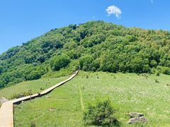 -白草畔自然风景区