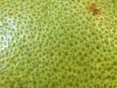 -明辉果业(章家巷小区延长西路526弄店)