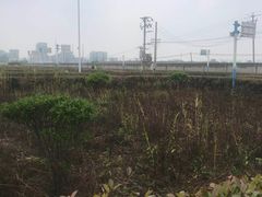 -安飞驰驾校·学车连锁(金高店)