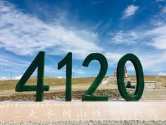 -大冬树山垭口