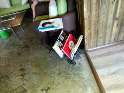 picture-星野形象