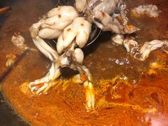 -老天桥蛙炉火锅(姑苏总店)