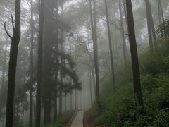 -莫干山大坑景区-停车场