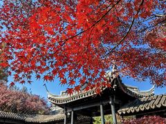 -惠山古镇·寄畅园