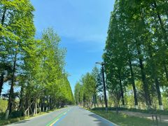 -黄海国家森林公园