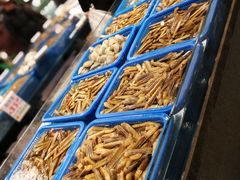 -宝燕海货工场(长江国际店)