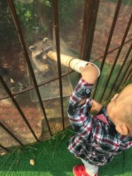 -萌宠亲子动物乐园(槐房万达店)