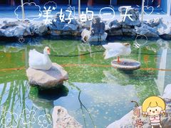 -龙华寺