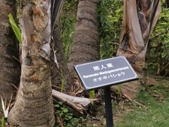 -厦门悦华酒店