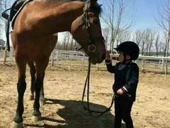 -月河湾马术俱乐部(朝阳店)