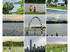 -深圳人才公园