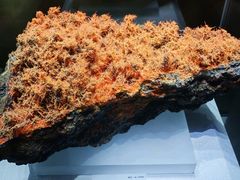 -湖南省地质博物馆