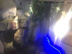 -香山湖家家宴(中山陵店)