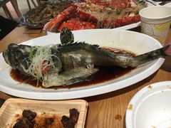 龙胆石斑鱼-七鲜超市(万向城店)