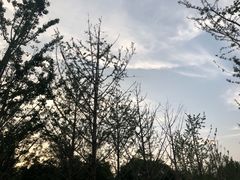 -迎泽公园