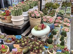-宝龙广场(福州台江店)