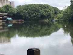 -张鸟园农家乐(张鸟园店)