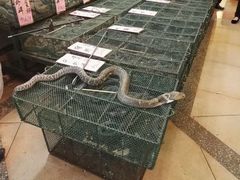 -荔城生鲜盛宴(番禺旗舰店)