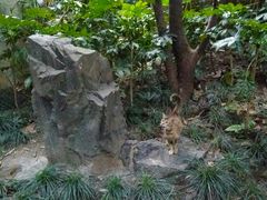 -静安公园(静安寺街道)