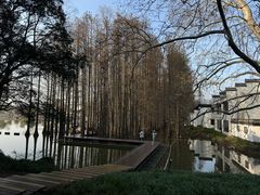 -采石矶景区