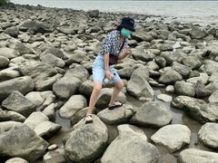 -吴淞炮台湾湿地森林公园烧烤区