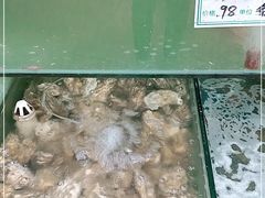 -雅逸居海鲜小厨