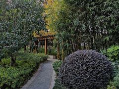 -徐家汇源景区-衡山公园