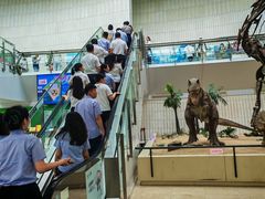 -天津自然博物馆