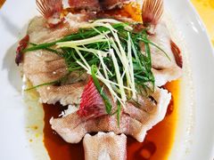 清蒸石斑-蚝专家(北滘店)