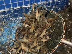 -晓琦农家菜馆·地道农家菜