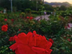 -门城湖公园