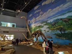 -自贡恐龙博物馆