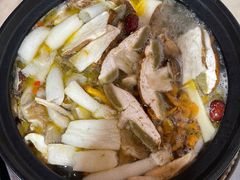 -蘑统田下·野生菌火锅