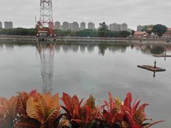 -东南里湖景餐厅·新闽菜(浦西万达店)