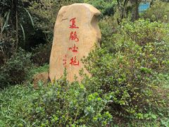 -梧桐山风景名胜区