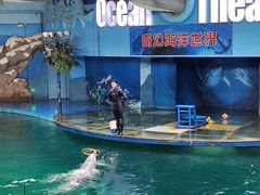 -苏州海洋馆