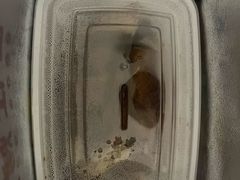 -新名仕(仙霞路店)