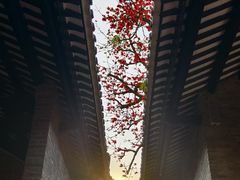 -广东花都湖国家湿地公园
