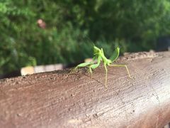 -大平台龙居瀑布旅游区
