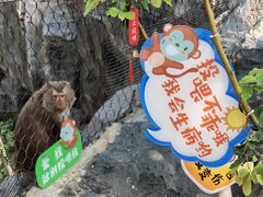 -武汉动物园