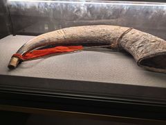 -广西壮族自治区博物馆