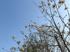 -泰丰公园