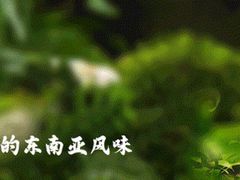 -荷花泰菜(东方新天地店)
