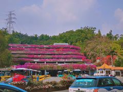 -深圳仙湖植物园
