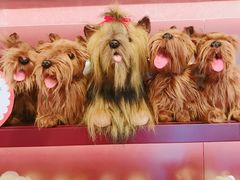 -当当梅溪书院(步步高梅溪新天地店)