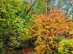 -玉渡山自然风景区