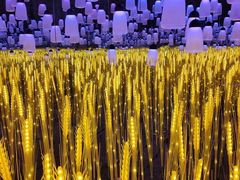 -祥源·阜阳生态乐园