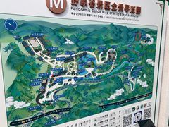 -野象谷景区